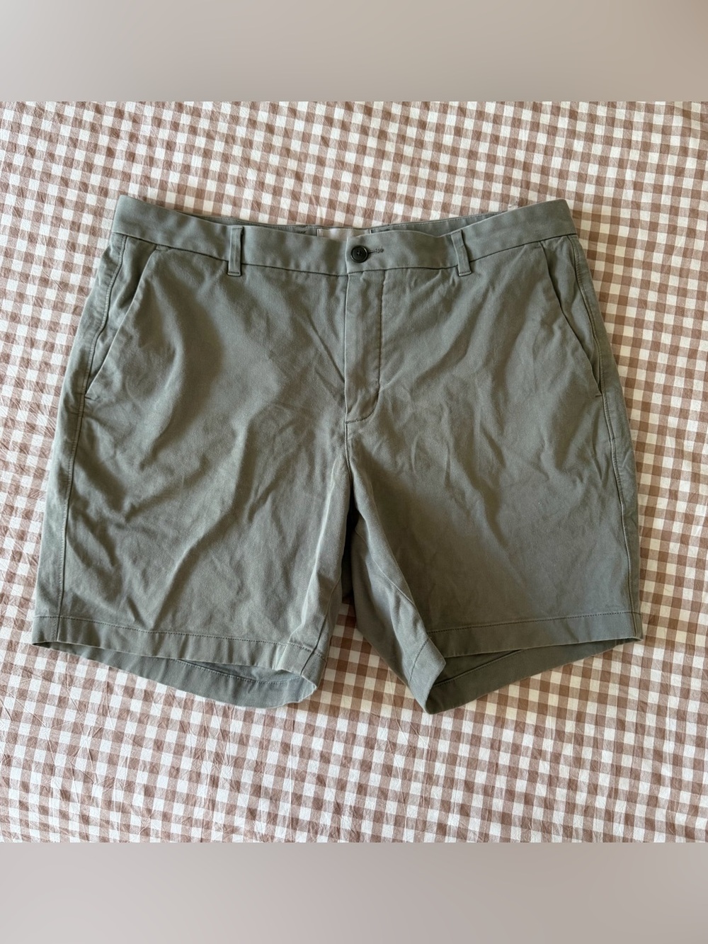 Everlane Men’s Sage Green Casual Chino Shorts Size 36